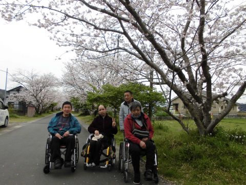 精矛神社　花見