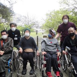 施設内お花見、精矛神社花見最終日