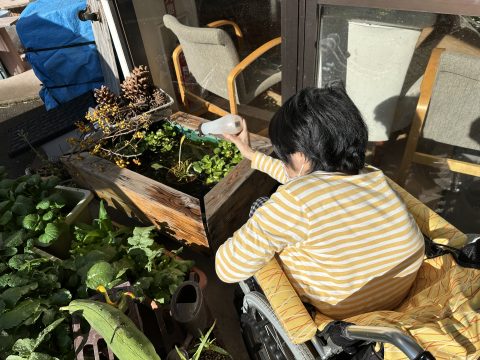 小春日和とメダカ