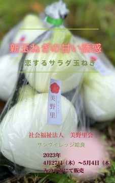 ☆みのり市にて新玉ねぎを販売いたします♪